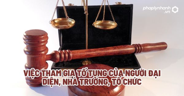 Việc tham gia tố tụng của người đại diện, nhà trường, tổ chức? 1 Việc tham gia tố tụng của người đại diện, nhà trường, tổ chức - Tư vấn, hỗ trợ pháp lý nhanh