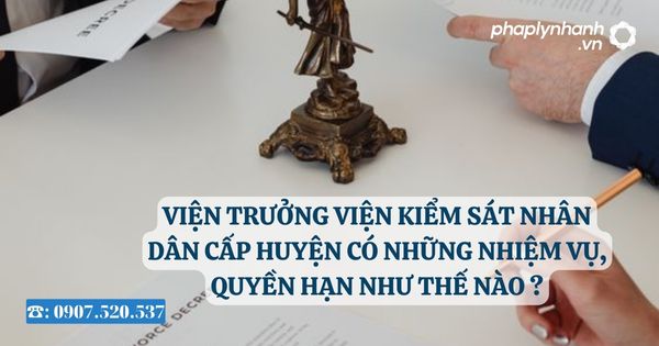 Viện trưởng Viện kiểm sát nhân dân cấp huyện có những nhiệm vụ, quyền hạn như thế nào? 2 Viện trưởng Viện kiểm sát nhân dân cấp huyện có những nhiệm vụ, quyền hạn như thế nào?