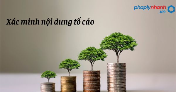 Xác minh nội dung tố cáo được quy định như thế nào? 1 Xác minh nội dung tố cáo - hỗ trợ, tư vấn pháp lý nhanh