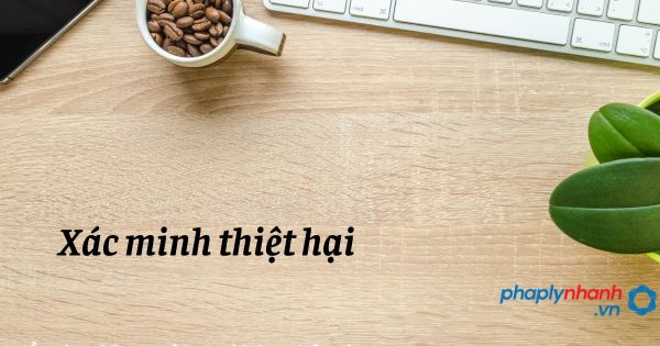 Xác minh thiệt hại trong trách nhiệm bồi thường của Nhà nước? 1 Xác minh thiệt hại - hỗ trợ, tư vấn pháp lý nhanh