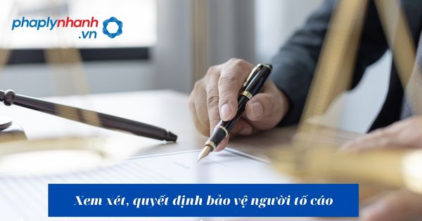 Xem xét, quyết định bảo vệ người tố cáo - hỗ trợ, tư vấn pháp lý nhanh