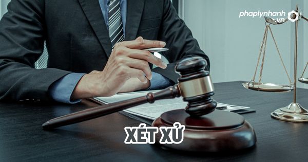 Xét xử - Tư vấn, hỗ trợ pháp lý nhanh
