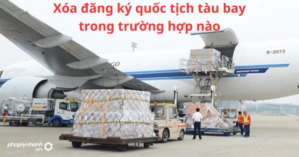 Xóa đăng ký quốc tịch tàu bay trong trường hợp nào? 9 Xóa đăng ký quốc tịch tàu bay trong trường hợp nào