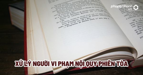 Xử lý người vi phạm nội quy phiên tòa? 1 Xử lý người vi phạm nội quy phiên tòa - Tư vấn, hỗ trợ pháp lý nhanh