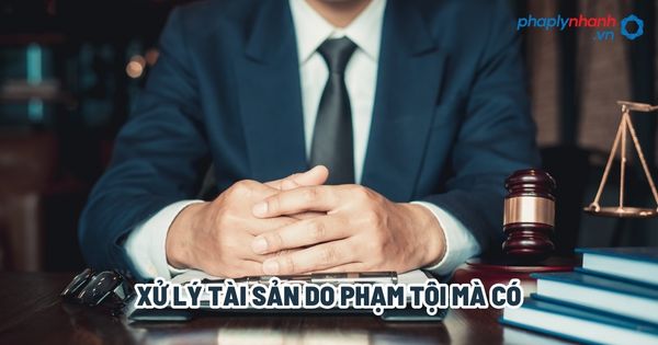 Xử lý tài sản do phạm tội mà có - Tư vấn, hỗ trợ pháp lý nhanh