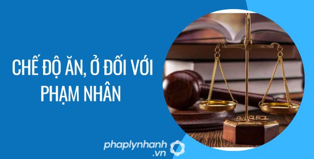 CHẾ ĐỘ ĂN, Ở ĐỐI VỚI PHẠM NHÂN 1 chế độ ăn, ở đối với phạm nhân - Tư vấn hỗ trợ phaplynhanh