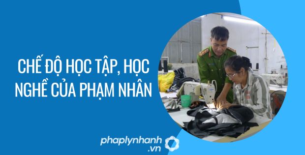 CHẾ ĐỘ HỌC TẬP, HỌC NGHỀ CỦA PHẠM NHÂN 1 chế độ học tập, học nghề của phạm nhân - Tư vấn hỗ trợ phaplynhanh