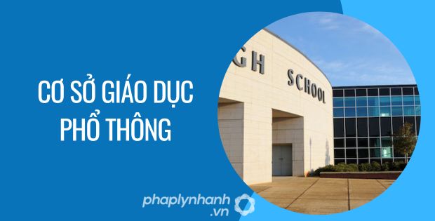 cơ sở giáo dục phổ thông - Tư vấn hỗ trợ phaplynhanh