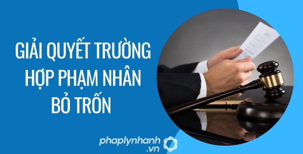 GIẢI QUYẾT TRƯỜNG HỢP PHẠM NHÂN BỎ TRỐN 1 giải quyết trường hợp phạm nhân bỏ trốn - Tư vấn hỗ trợ phaplynhanh