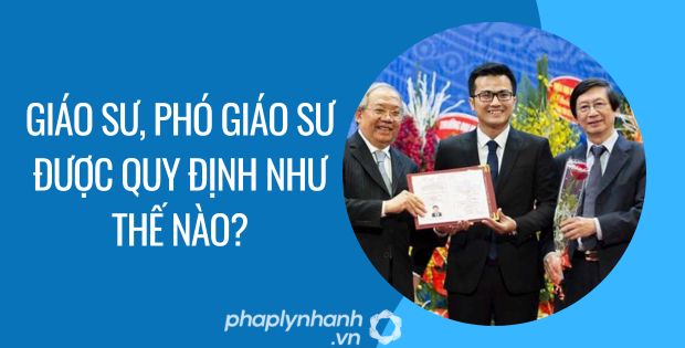 GIÁO SƯ VÀ PHÓ GIÁO SƯ ĐƯỢC QUY ĐỊNH NHƯ THẾ NÀO? 1 giáo sư, phó giáo sư được quy định như thế nào - Tư vấn hỗ trợ phaplynhanh