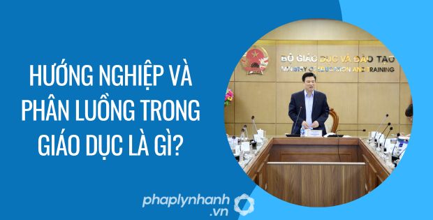 hướng nghiệp và phân luồng trong giáo dục là gì - Tư vấn hỗ trợ phaplynhanh