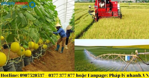 Tư vấn chuyển đổi mục đích sử dụng đất mới nhất 2023 2 Đất trồng cây hàng năm có thời hạn sử dụng không?-tư vấn, hỗ trợ pháp lý nhanh