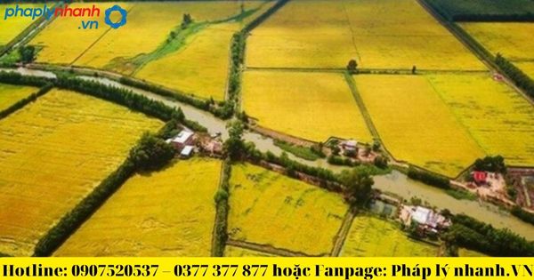 Đất trồng cây hàng năm có bị thu hồi không? 2 Đất trồng cây hàng năm có bị thu hồi không?