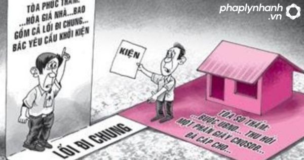 Cách xác định ranh giới thửa đất-tư vấn, hỗ trợ pháp lý nhanh