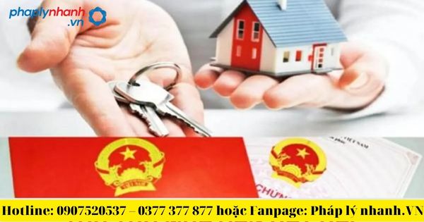 Vi phạm về công khai thông tin nhà và thị trường bất động sản bị xử lý như thế nào?-tư vấn, hỗ trợ pháp lý nhanh