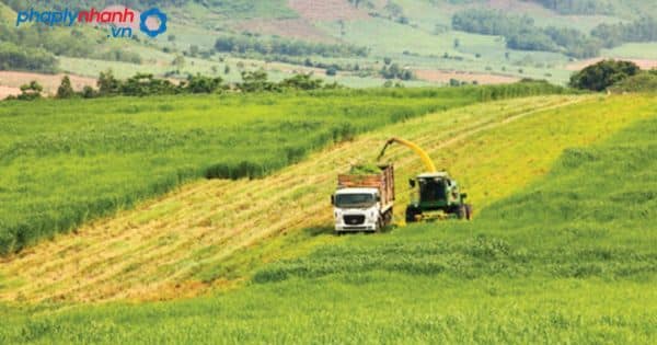 Lưu ý các vấn đề liên quan đến thuế đất nông nghiệp mới 2023 1 Lưu ý các vấn đề liên quan đến thuế đất nông nghiệp mới 2023