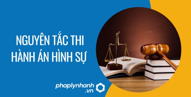 NGUYÊN TẮC THI HÀNH ÁN HÌNH SỰ 1 nguyên tắc thi hành án hình sự - Tư vấn hỗ trợ phaplynhanh