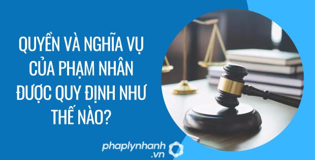 quyền và nghĩa vụ của phạm nhân được quy định như thế nào - Tư vấn hỗ trợ phaplynhanh