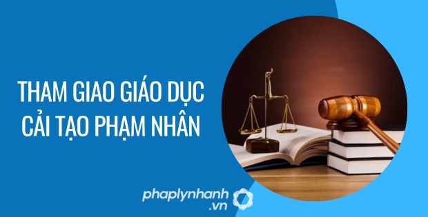 THAM GIA GIÁO DỤC CẢI TẠO PHẠM NHÂN 1 tham giao giáo dục cải tạo phạm nhân - Tư vấn hỗ trợ phaplynhanh