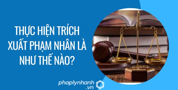 thực hiện trích xuất phạm nhân là như thế nào - Tư vấn hỗ trợ phaplynhanh