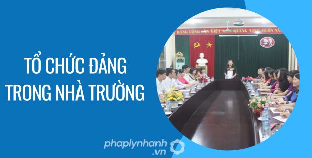 TỔ CHỨC ĐẢNG TRONG NHÀ TRƯỜNG ĐƯỢC QUY ĐỊNH NHƯ THẾ NÀO? 1 tổ chức đảng trong nhà trường - Tư vấn hỗ trợ phaplynhanh