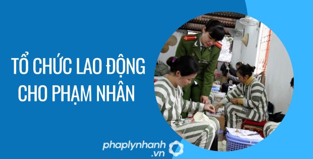 TỔ CHỨC LAO ĐỘNG CHO PHẠM NHÂN 1 tổ chức lao động cho phạm nhân - Tư vấn hỗ trợ phaplynhanh