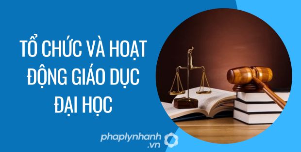 TỔ CHỨC VÀ HOẠT ĐỘNG GIÁO DỤC ĐẠI HỌC 1 tổ chức và hoạt động giáo dục đại học - Tư vấn hỗ trợ phaplynhanh