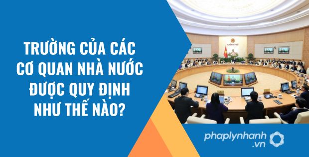 TRƯỜNG CỦA CÁC CƠ QUAN NHÀ NƯỚC ĐƯỢC QUY ĐỊNH NHƯ THẾ NÀO? 1 trường của các cơ quan nhà nước được quy định như thế nào - Tư vấn hỗ trợ phaplynhanh
