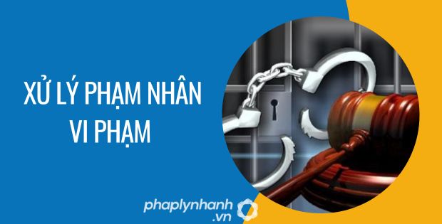 xử lý phạm nhân vi phạm - Tư vấn hỗ trợ phaplynhanh