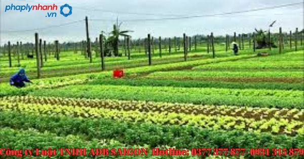 Hồ sơ cần nộp khi thực hiện tách thửa đất gồm những gì? 1 Hồ sơ cần nộp khi thực hiện tách thửa đất gồm những gì?