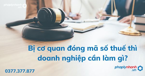 Bị cơ quan đóng mã số thuế thì doanh nghiệp cần làm gì? 1 Bị cơ quan đóng mã số thuế thì doanh nghiệp cần làm gì - tư vấn hỗ trợ pháp lý nhanh