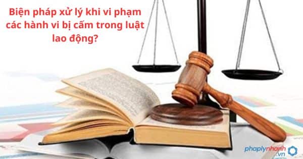 Vi phạm hành vi bị cấm trong luật lao động xử lý thế nào? 1 Vi phạm hành vi bị cấm trong luật lao động xử lý thế nào?