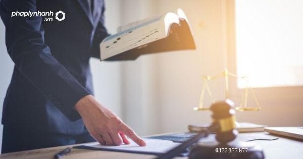 Bộ luật tố tụng dân sự được áp dùng, hoạt động tố tụng ở đâu? 1 Bộ luật tố tụng dân sự được áp dùng, hoạt động tố tụng ở đâu - Tư vấn, hỗ trợ pháp lý nhanh