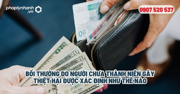 Bồi thường thiệt hại do người chưa thành niên gây ra? 1 Bồi thường do người chưa thành niên gây thiệt hại được xác định như thế nào - Tư vấn, hỗ trợ pháp lý nhanh