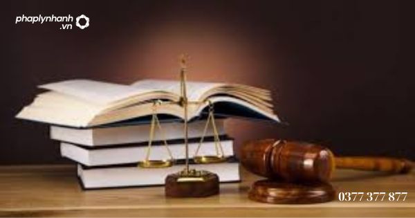 Các giấy tờ nào cần phải xuất trình khi đề nghị Tòa án làm thủ tục đăng ký người bảo vệ quyền và lợi ích hợp pháp của đương sự? 2 Các giấy tờ nào cần phải xuất trình khi đề nghị Tòa án làm thủ tục đăng ký người bảo vệ quyền và lợi ích hợp pháp của đương sự - Tư vấn, hỗ trợ pháp lý nhanh