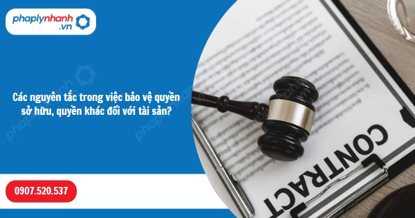 Các nguyên tắc trong việc bảo vệ quyền sở hữu, quyền khác đối với tài sản? 1 Các nguyên tắc trong việc bảo vệ quyền sở hữu, quyền khác đối với tài sản-Hỗ trợ, tư vấn pháp lý nhanh