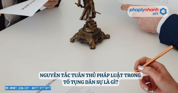 Các vụ án tranh chấp nào được giải quyết theo thủ tục tố tụng dân sự? 9 Các vụ án tranh chấp nào được giải quyết theo thủ tục tố tụng dân sự - Tư vấn, hỗ trợ pháp lý nhanh