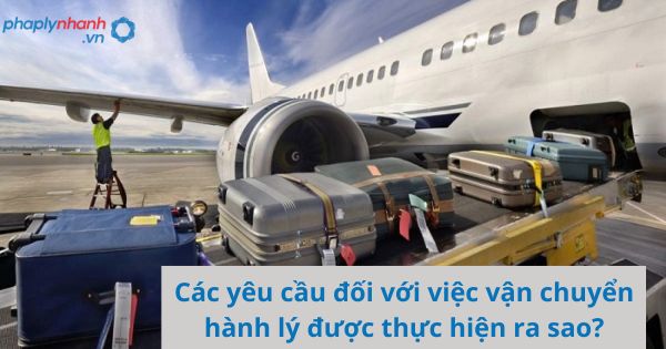 Các yêu cầu đối với việc vận chuyển hành lý được thực hiện ra sao? 13 Các yêu cầu đối với việc vận chuyển hành lý được thực hiện ra sao
