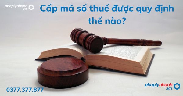 Cấp mã số thuế được quy định thế nào? 1 Cấp mã số thuế được quy định thế nào - tư vấn hỗ trợ pháp lý nhanh