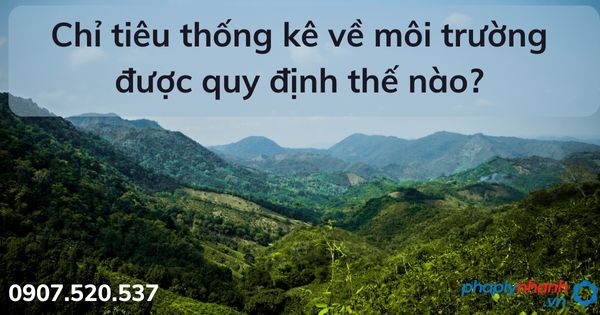 Chỉ tiêu thống kê về môi trường được quy định thế nào - tư vấn hỗ trợ pháp lý nhanh