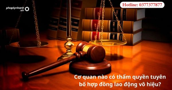 Cơ quan nào có thẩm quyền tuyên bố hợp đồng lao động vô hiệu? 5 Cơ quan nào có thẩm quyền tuyên bố hợp đồng lao động vô hiệu.