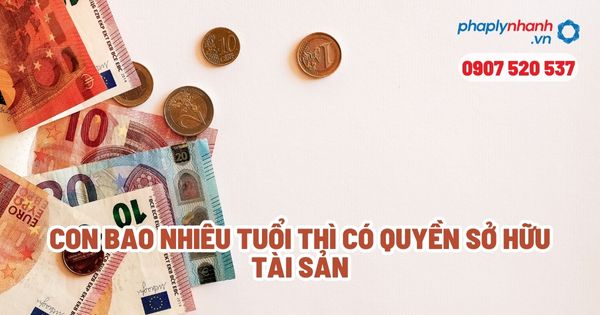 Con bao nhiêu tuổi thì được quyền quản lý tài sản? 1 Con bao nhiêu tuổi thì được quyền quản lý tài sản - Tư vấn, hỗ trợ pháp lý nhanh