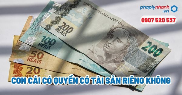 Quyền có tài sản riêng của con? 1 Con cái có quyền có tài sản riêng không - Tư vấn, hỗ trợ pháp lý nhanh