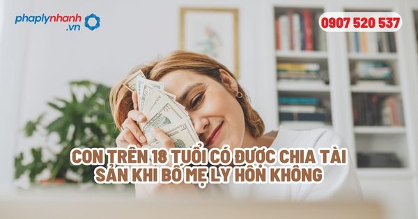Con trên 18 tuổi có được chia tài sản khi bố mẹ ly hôn không? 7 Con trên 18 tuổi có được chia tài sản khi bố mẹ ly hôn không - Tư vấn, hỗ trợ pháp lý nhanh