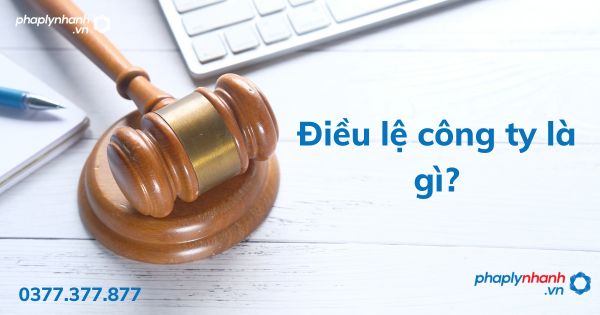 Điều lệ công ty là gì - tư vấn hỗ trợ pháp lý nhanh