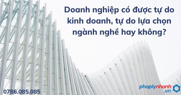 Doanh nghiệp có được tự do kinh doanh, tự do lựa chọn ngành nghề hay không? 1 Doanh nghiệp có được tự do kinh doanh, tự do lựa chọn ngành nghề hay không - tư vấn hỗ trợ pháp lý nhanh