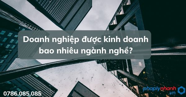 Doanh nghiệp được kinh doanh bao nhiêu ngành nghề? 1 Doanh nghiệp được kinh doanh bao nhiêu ngành nghề - tư vấn hỗ trợ pháp lý nhanh