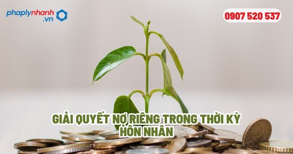 Nợ riêng trong thời kỳ hôn nhân? 1 Giải quyết nợ riêng trong thời kỳ hôn nhân - Tư vấn, hỗ trợ pháp lý nhanh