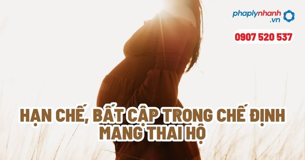 Mang thai hộ được hiểu như thế nào? 1 Mang thai hộ được hiểu như thế nào? - Tư vấn, hỗ trợ pháp lý nhanh