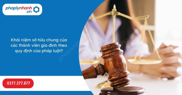 Khái niệm sở hữu chung của các thành viên gia đình theo quy định của pháp luật? 1 Khái niệm sở hữu chung của các thành viên gia đình theo quy định của pháp luật-Hỗ trợ, tư vấn pháp lý nhanh